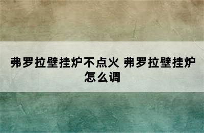 弗罗拉壁挂炉不点火 弗罗拉壁挂炉怎么调